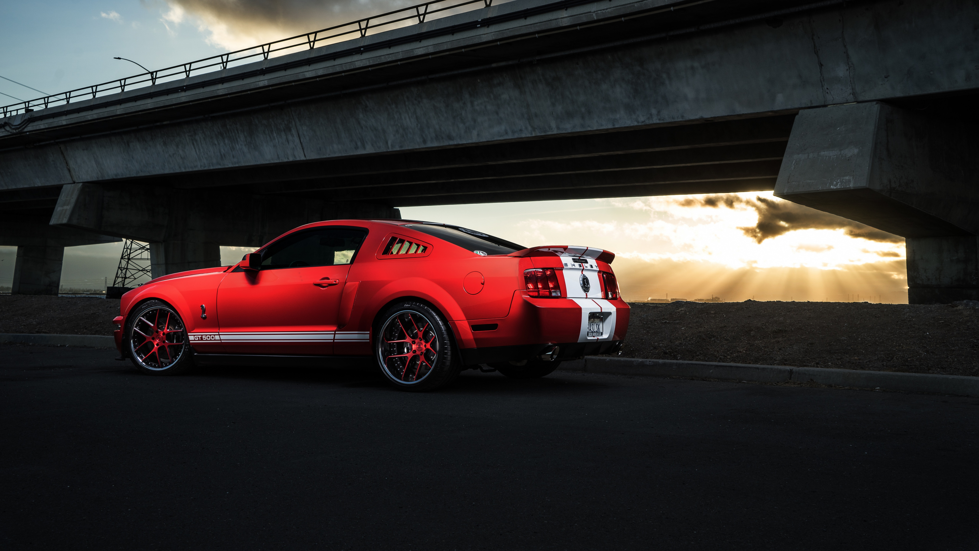 Обои Mustang Sheley, Шелби Мустанг, ford, Форд Мустанг, легковые автомобили в разрешении 3840x2160