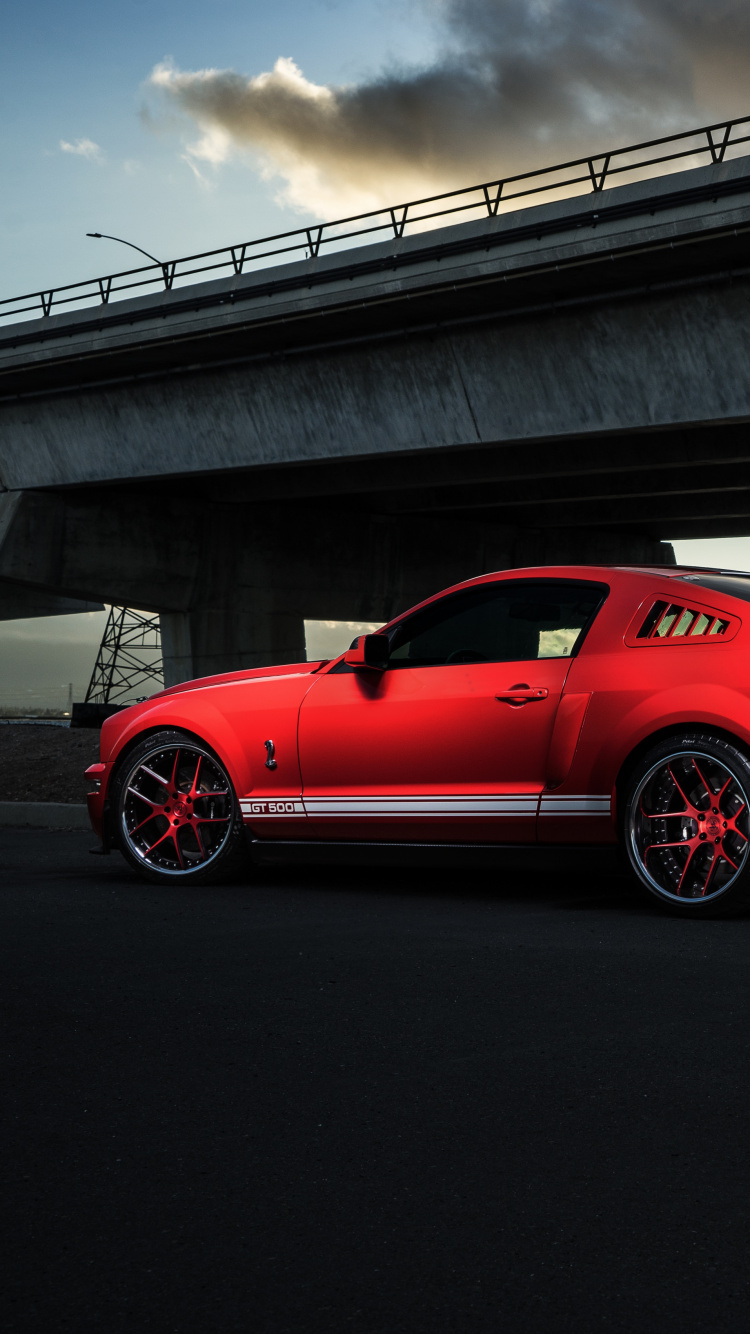 Обои Mustang Sheley, Шелби Мустанг, ford, Форд Мустанг, легковые автомобили в разрешении 750x1334