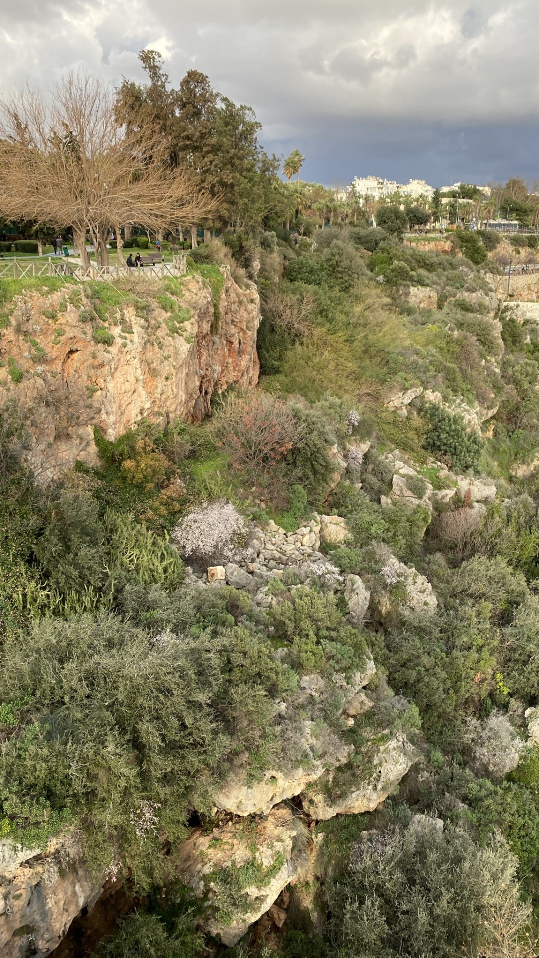 Обои растительность, биом, кустарник, обнажение, облако в разрешении 1080x1920