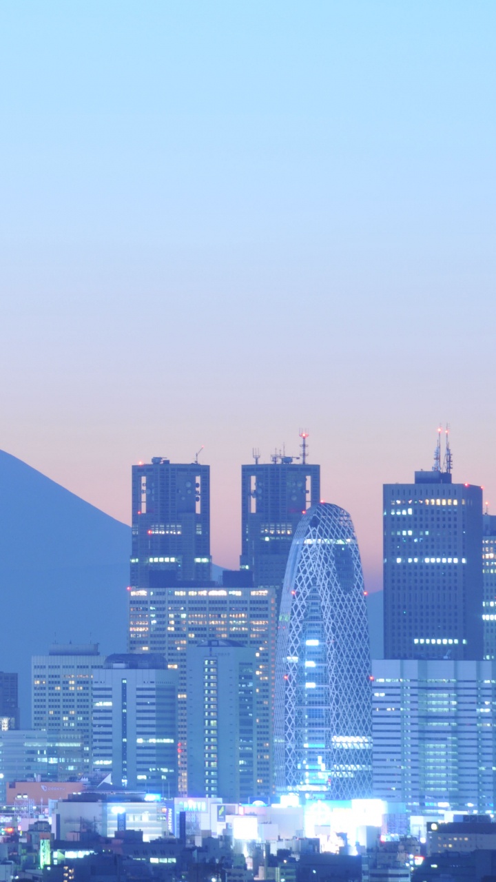 Обои Синдзюку, гора Фудзи, городской пейзаж, город, городской район в разрешении 720x1280