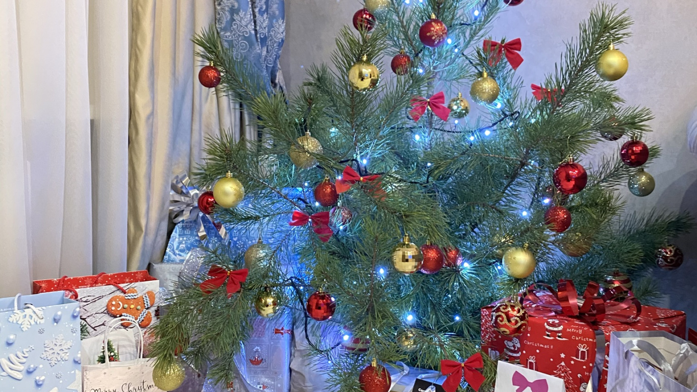 Обои елка, Рождественский день, пихта, дизайн интерьера, Рождественские украшения в разрешении 1366x768