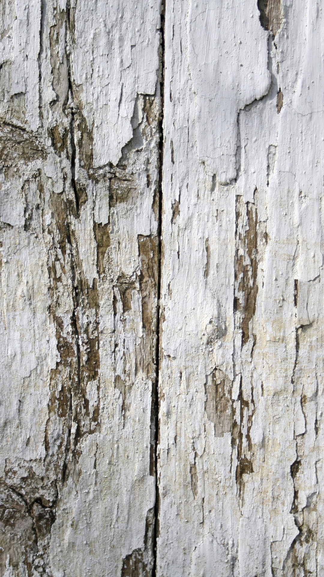 Обои древесина, забор, стена, текстура, планка в разрешении 1080x1920