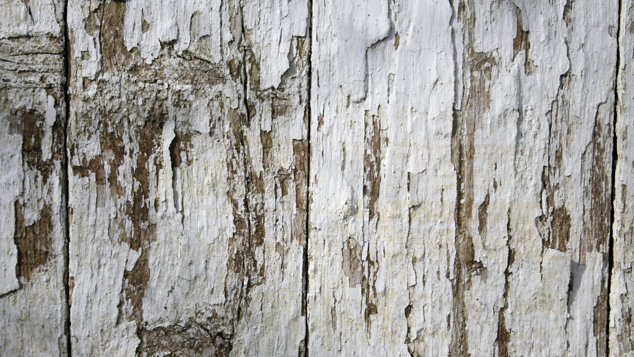 Обои древесина, забор, стена, текстура, планка в разрешении 1280x720