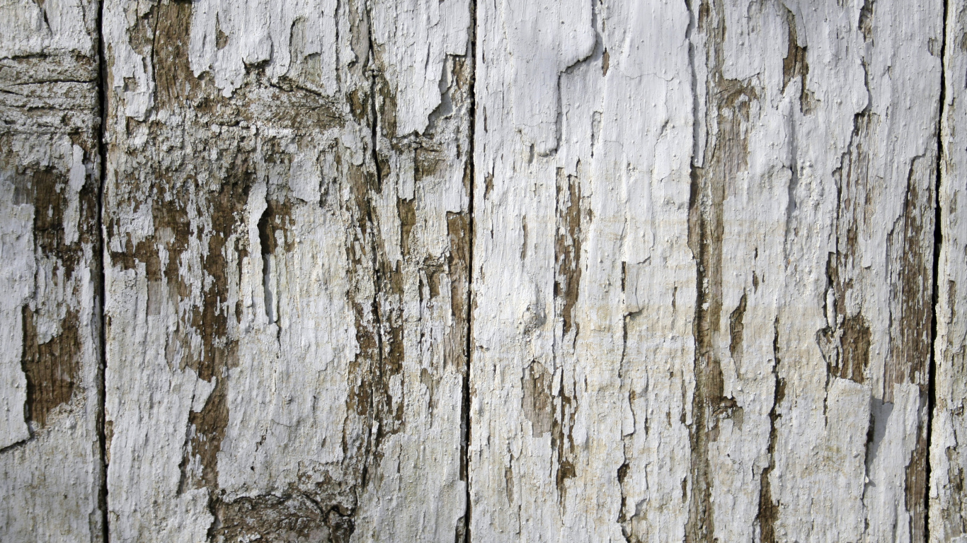 Обои древесина, забор, стена, текстура, планка в разрешении 1366x768