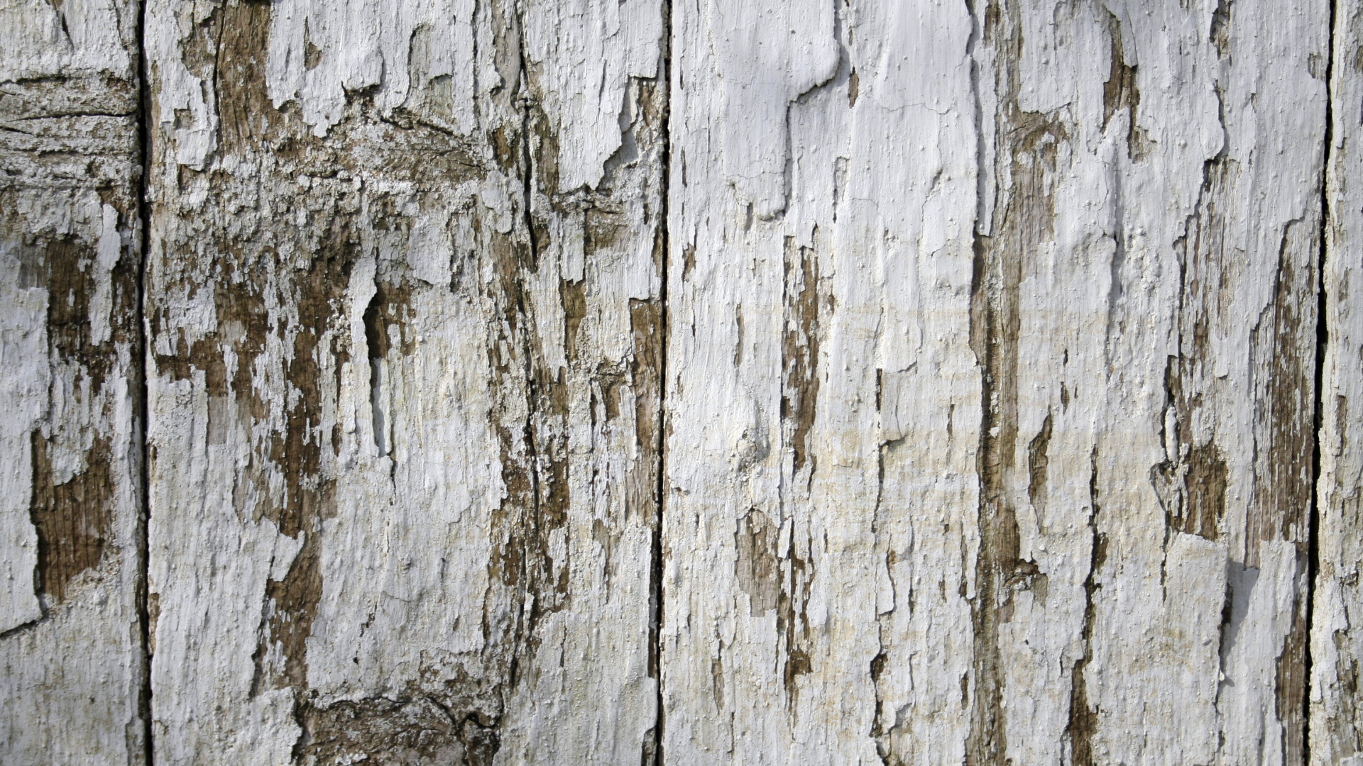 Обои древесина, забор, стена, текстура, планка в разрешении 1920x1080