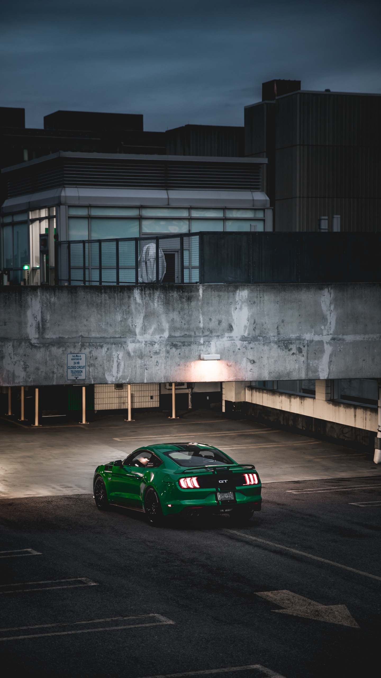 Обои спорткар, Форд Мустанг, компания Ford, легковые автомобили, Шелби Мустанг в разрешении 1440x2560