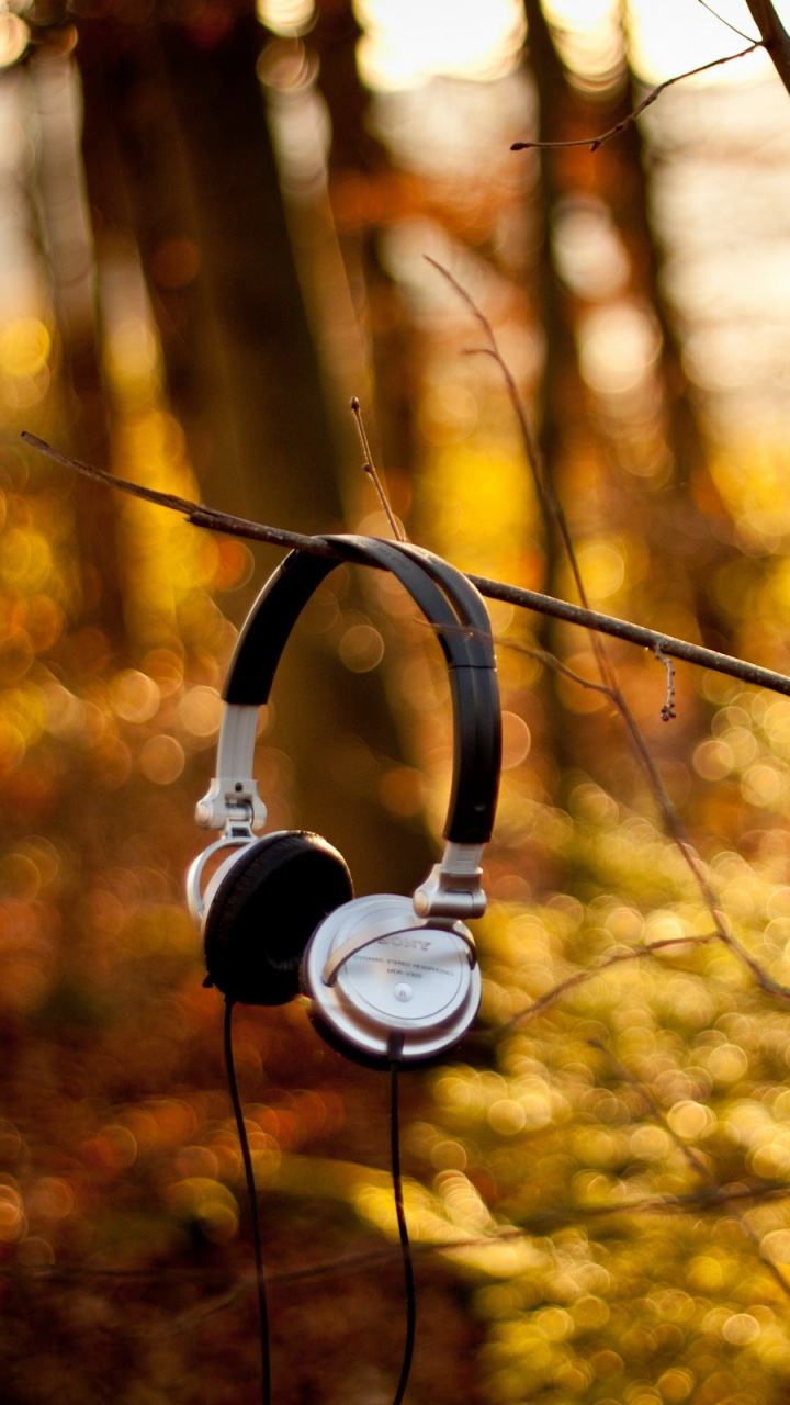 Обои наушники, природа, свет, дерево, ветвь в разрешении 720x1280