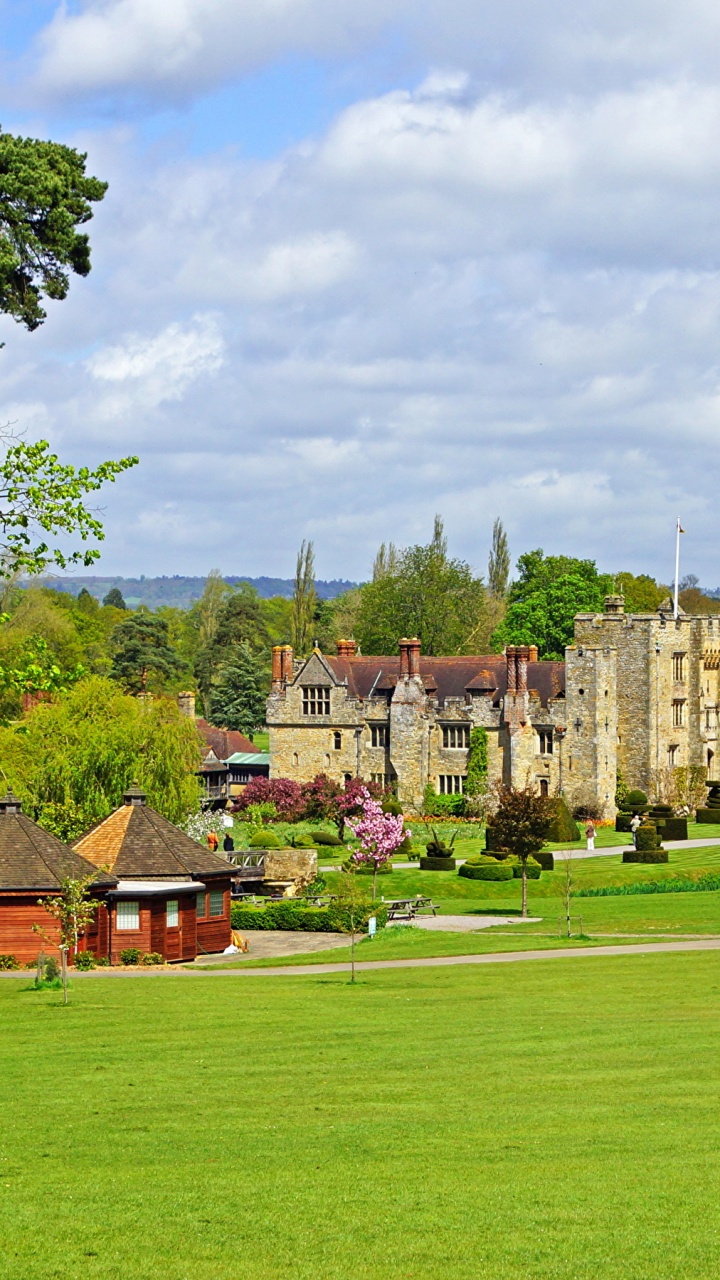 Обои дворец, замок, имущество, дерево, газон в разрешении 720x1280