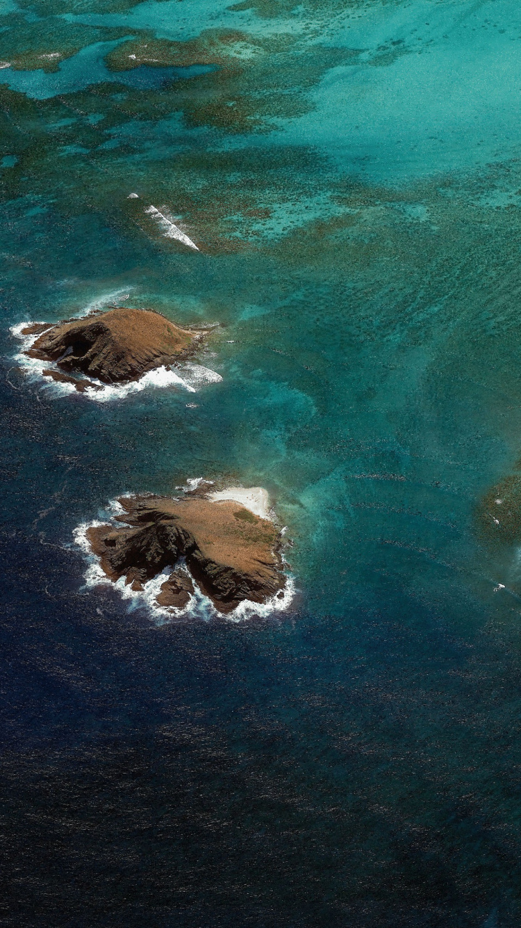 Обои андроид, Андроид Орео, Нуга Андроид, Андроид Kitkat, Android Леденец в разрешении 750x1334