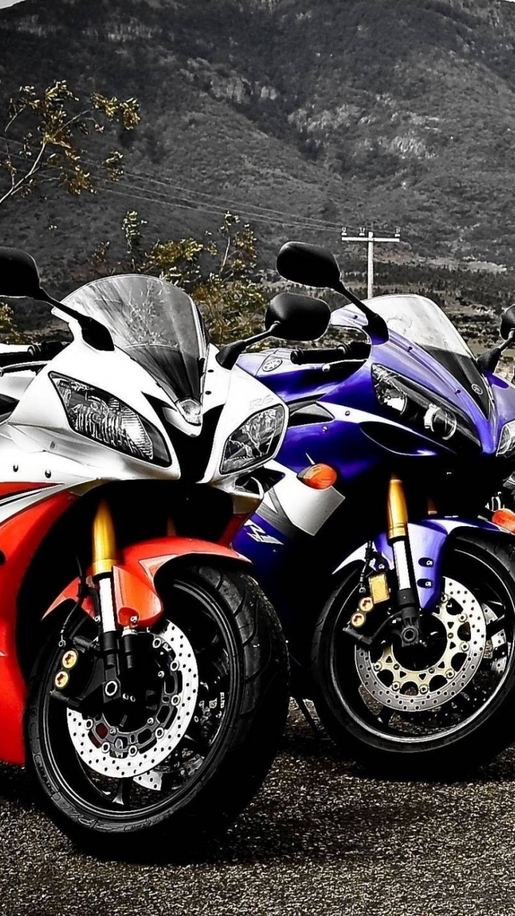 Обои Ямаха Р6, Ямаха мотор Компани, мотоцикл, спортивный мотоцикл, авто в разрешении 750x1334