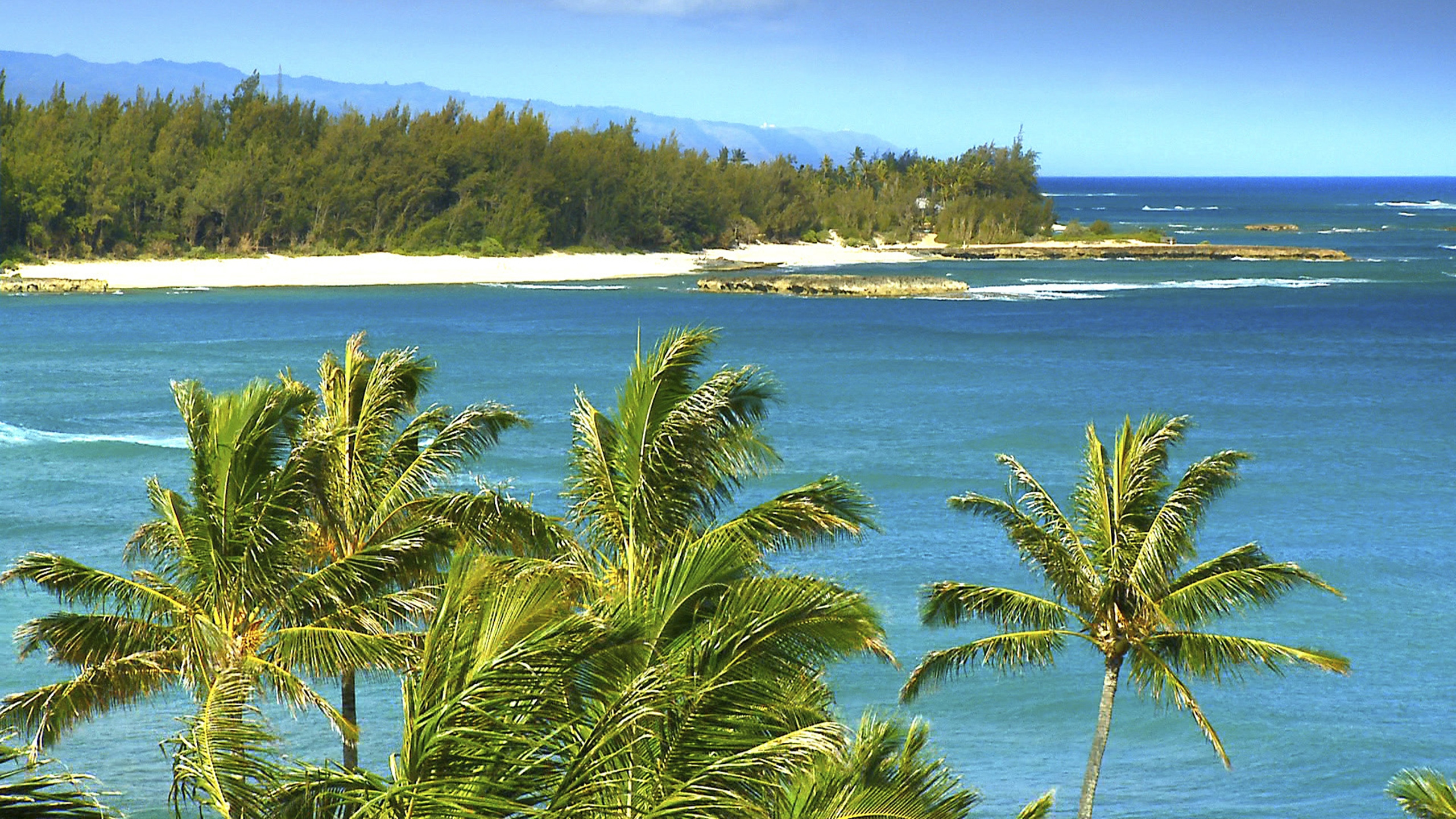 Обои гавайский пляж, Вайкики, пляж, растительность, море в разрешении 2560x1440