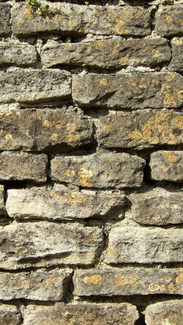 Обои кирпичная кладка, каменная стена, стена, кирпич, камень в разрешении 750x1334