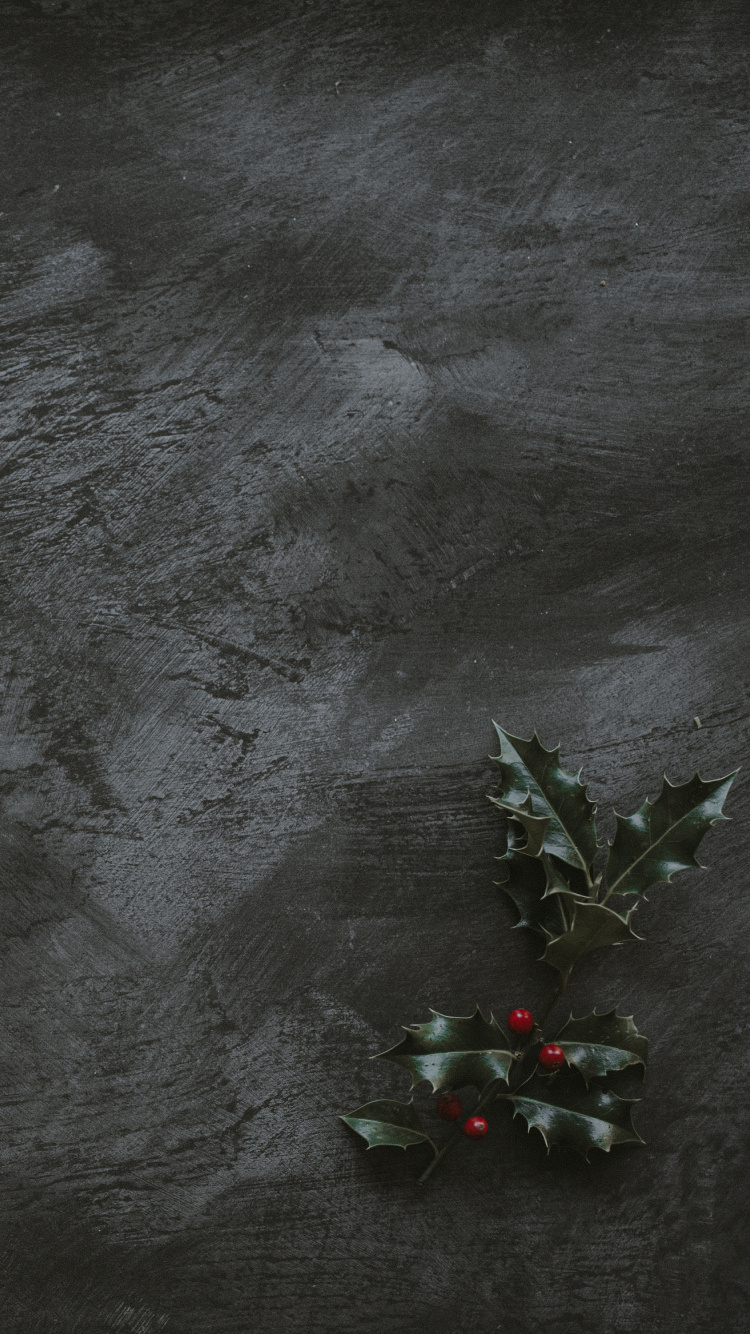 Обои текстура, черный, этаж, пол, бетон в разрешении 750x1334