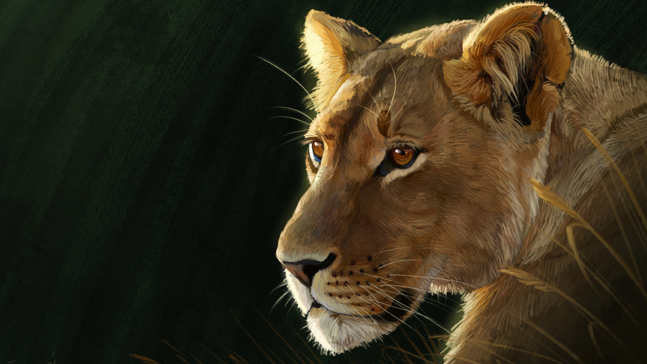 Обои хищник, наземные животные, Лев, Восточно африканский Лев, морда в разрешении 1280x720