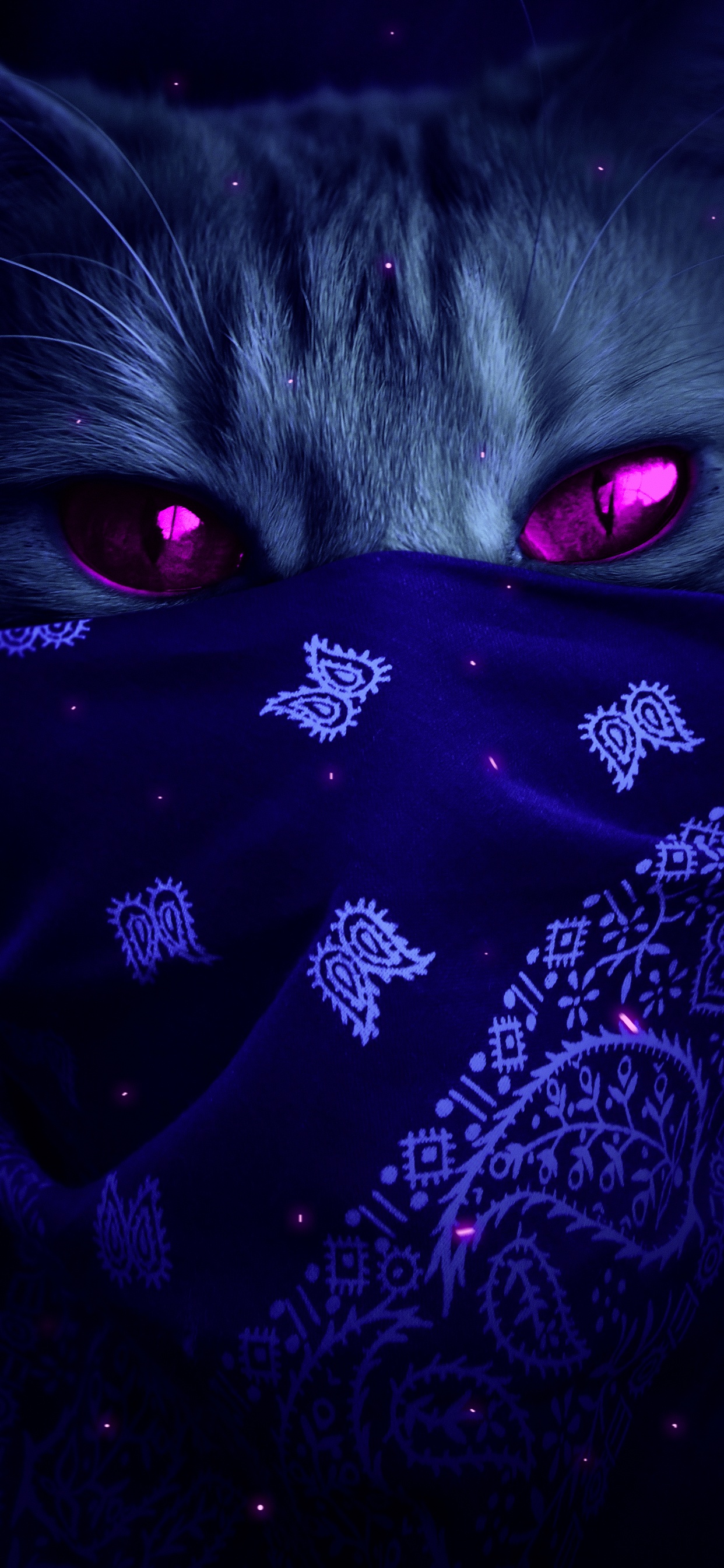 Обои пурпур, кошачьих, жидкий, кот, Фиолетовый в разрешении 1242x2688