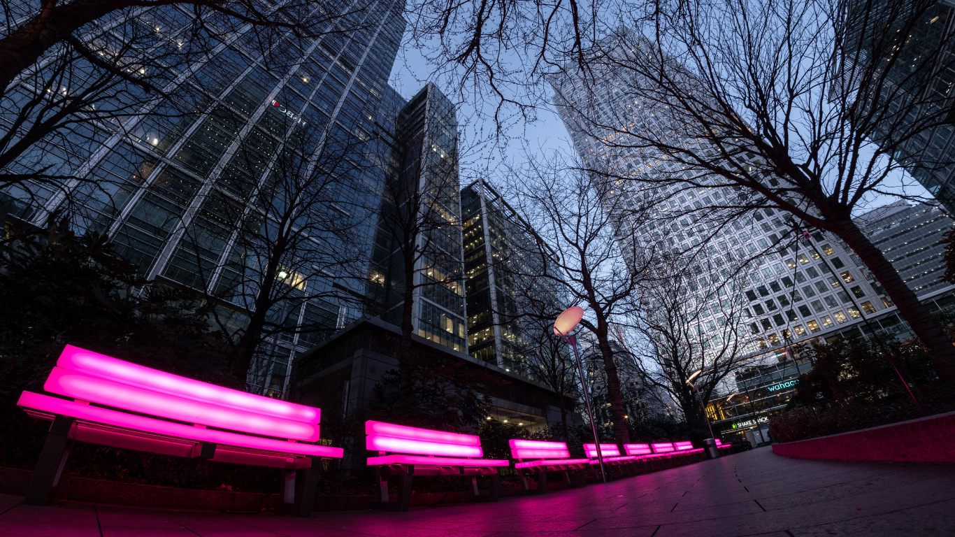 Обои розовый, красный цвет, свет, дерево, ночь в разрешении 1366x768