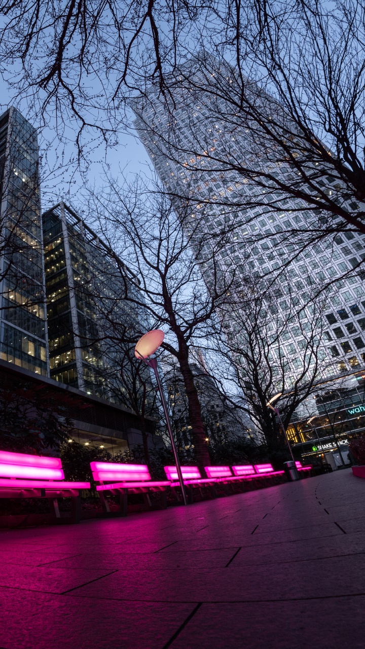 Обои розовый, красный цвет, свет, дерево, ночь в разрешении 720x1280