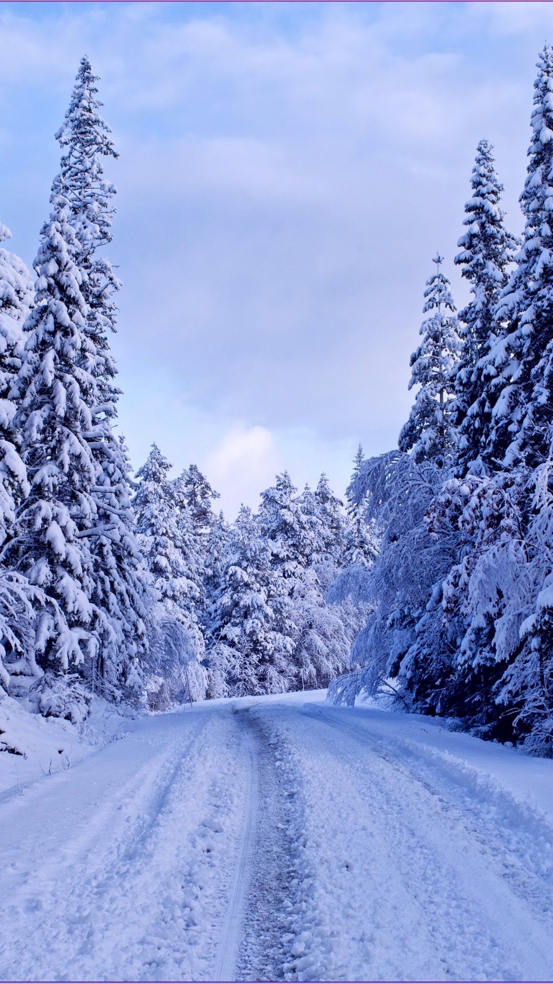 Обои зимняя дорога, снег, зима, дерево, мороз в разрешении 1080x1920