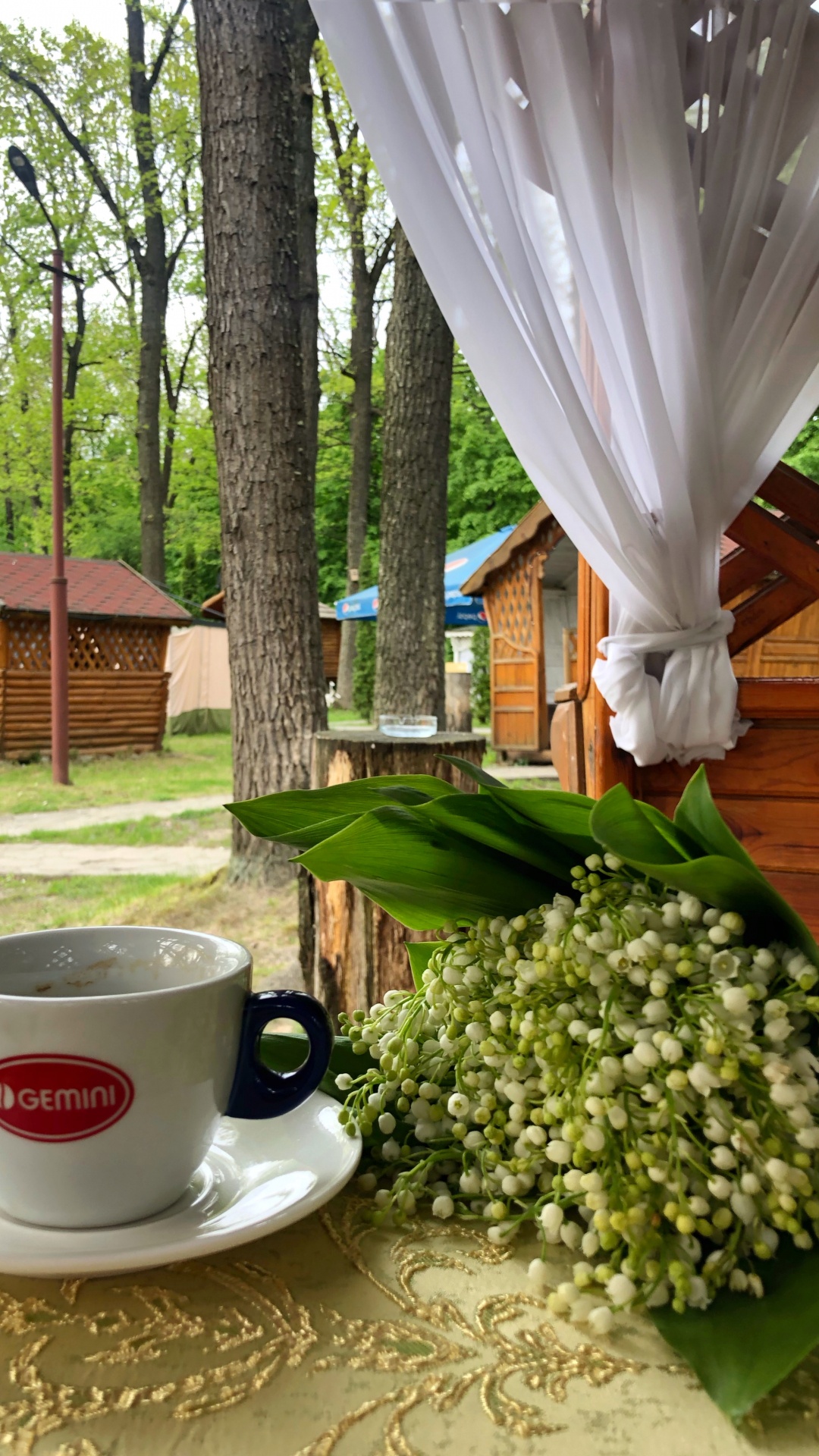 Обои дерево, кофейная чашка, чашка, serveware, посуда в разрешении 1080x1920