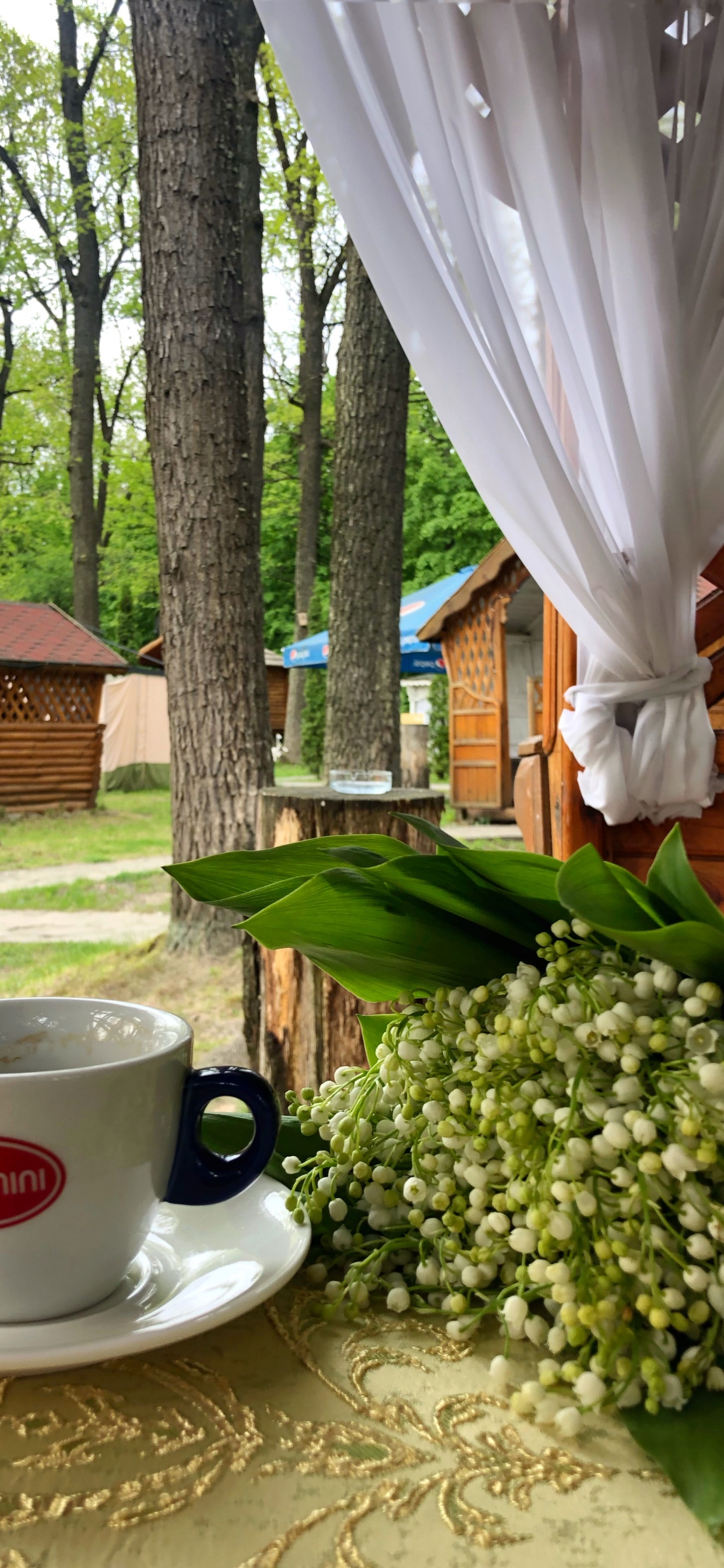 Обои дерево, кофейная чашка, чашка, serveware, посуда в разрешении 1242x2688