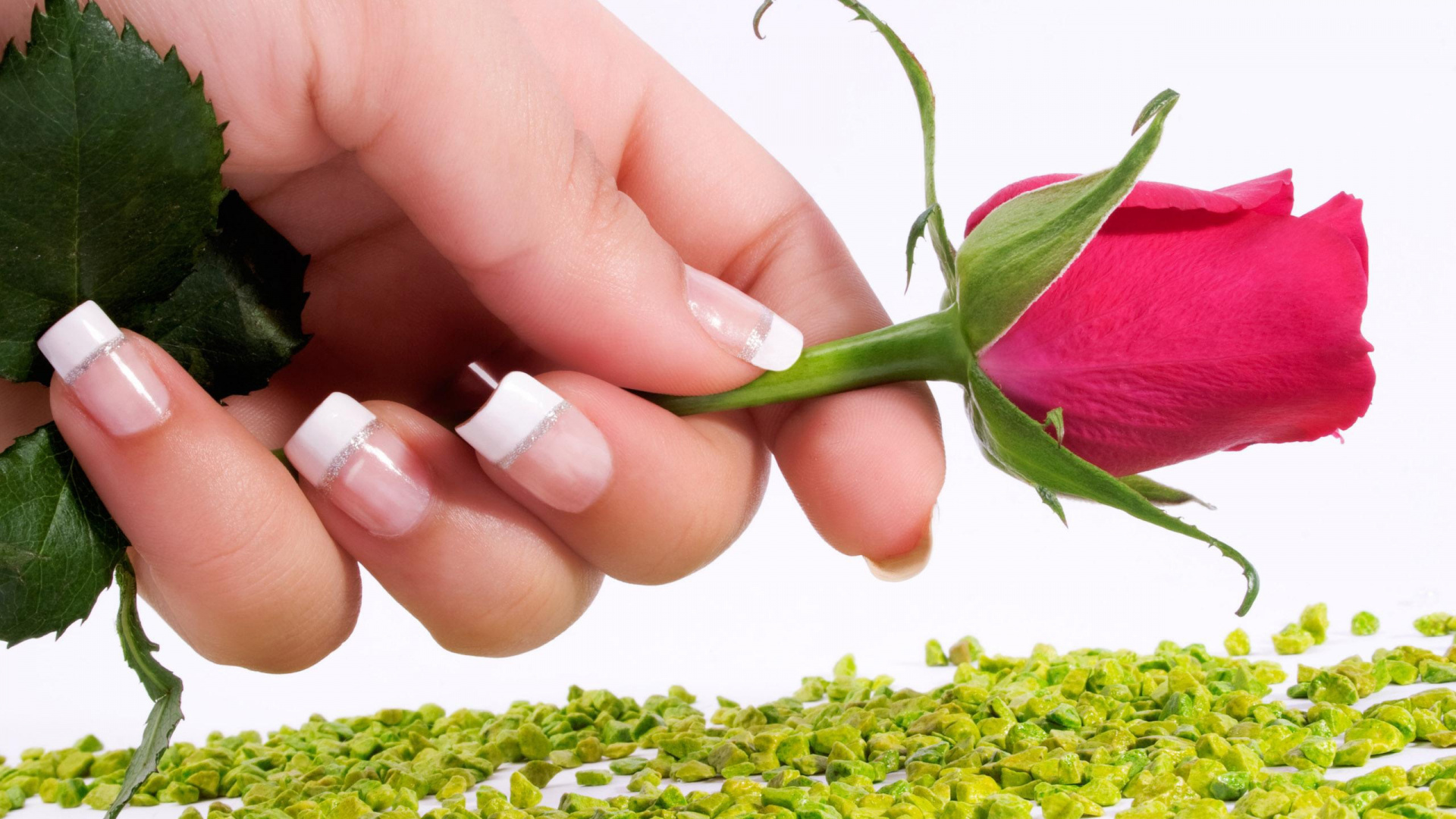 Обои Роза, палец, ноготь, маникюр, лепесток в разрешении 1920x1080