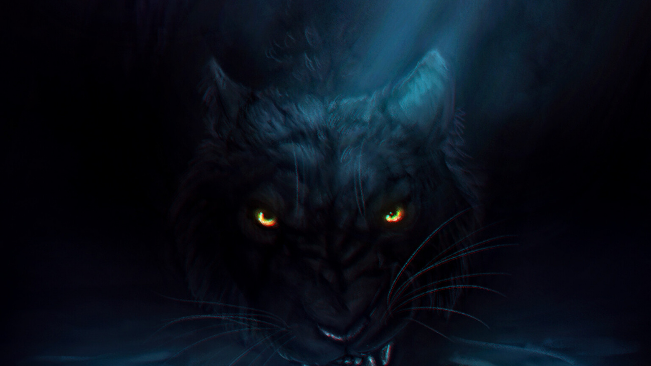 Обои темнота, черная кошка, черный, синий, кошачьих в разрешении 1280x720