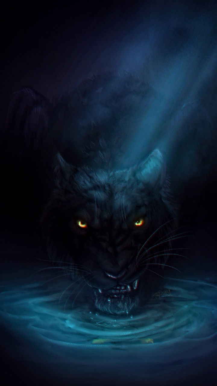 Обои темнота, черная кошка, черный, синий, кошачьих в разрешении 720x1280