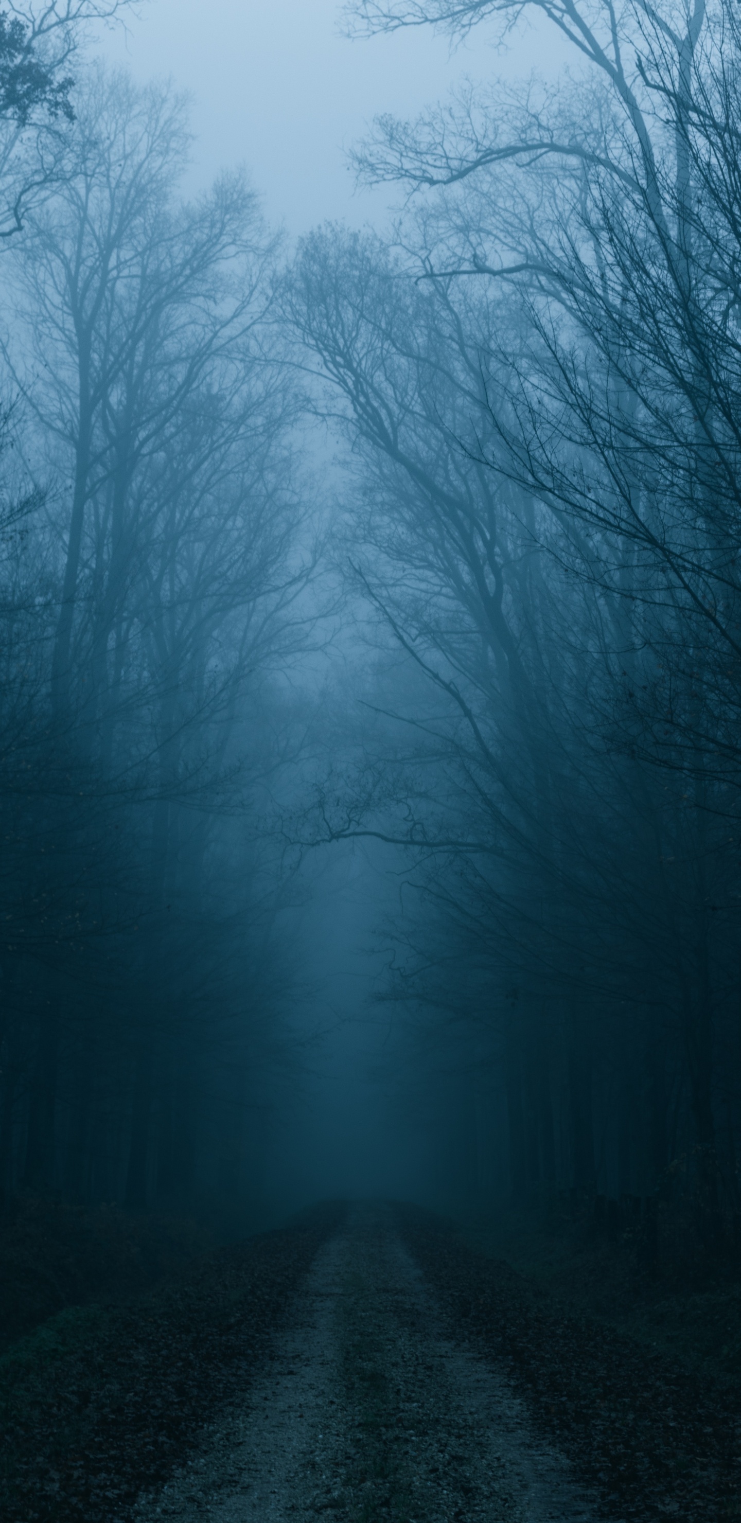 Обои дымка, облако, природа, природный ландшафт, туман в разрешении 1440x2960