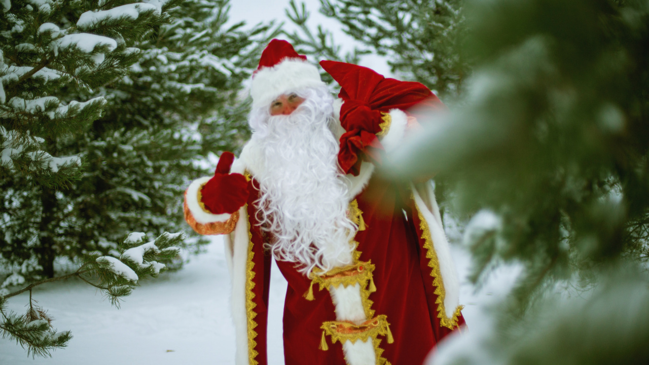 Обои Санта-Клаус, Дед Мороз, Новый год, Рождественский день, новогодняя елка в разрешении 1280x720