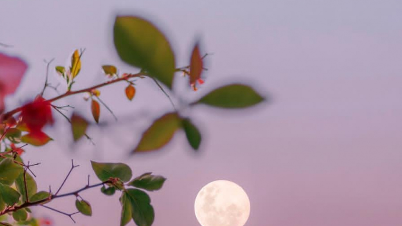 Обои фейсбук, ночь, браузер, блог, вечер в разрешении 1366x768