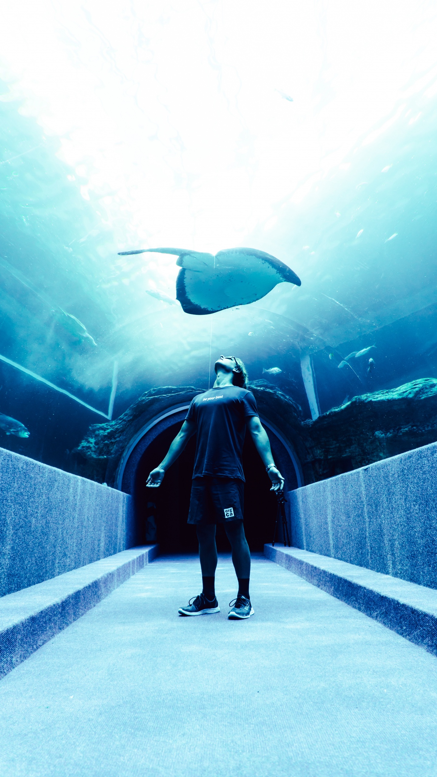 Обои мир, подземные воды, скат, вымышленный персонаж в разрешении 1440x2560