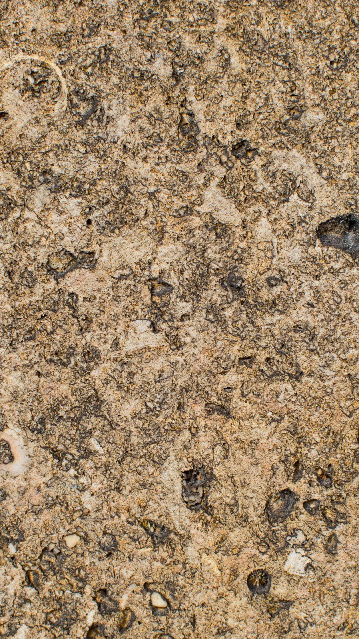 Обои почва, бетон, гранит, бумага, рок в разрешении 720x1280