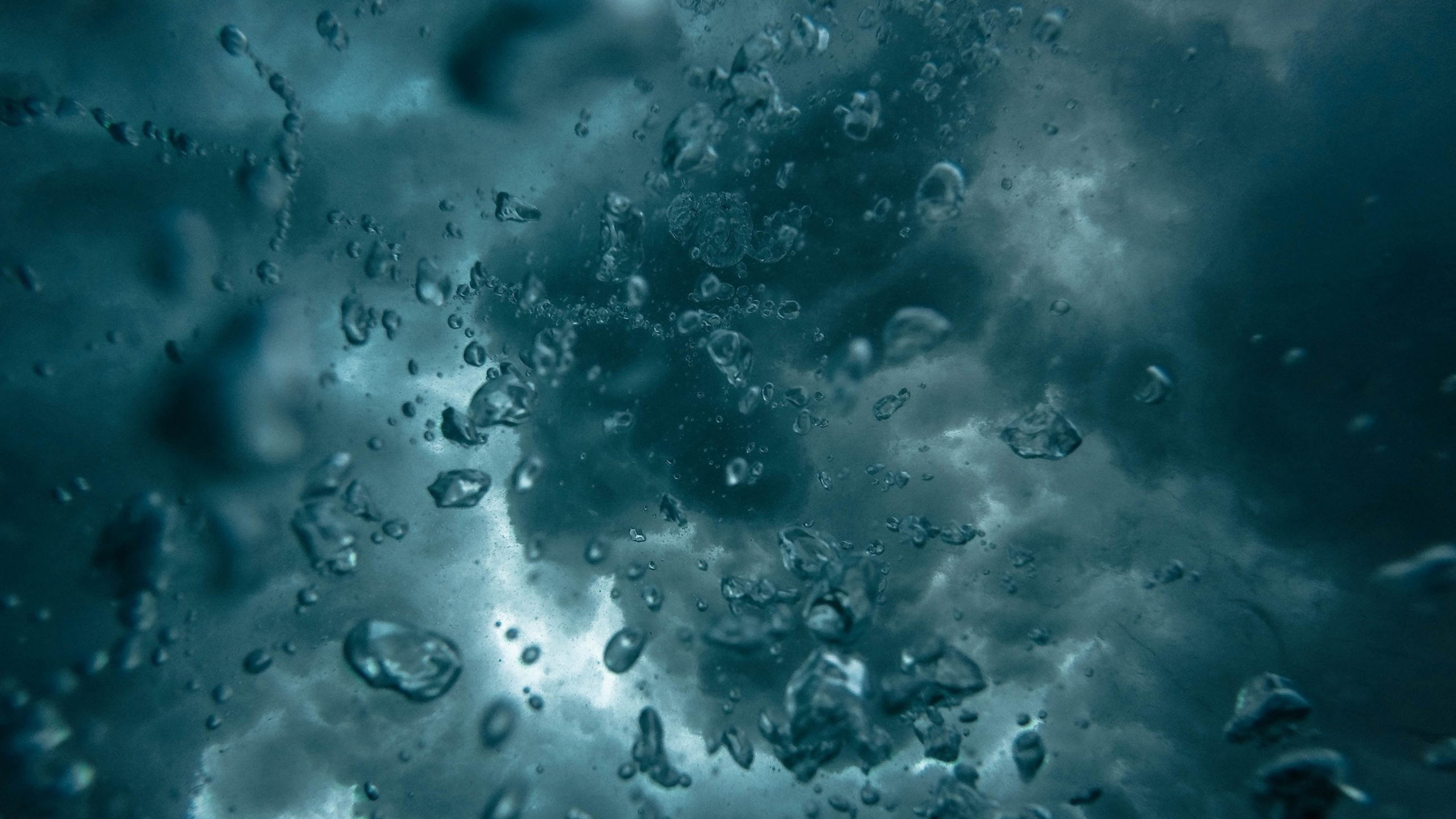 Обои хироптофобия, вода, жидкий, жидкость, Аква в разрешении 2560x1440