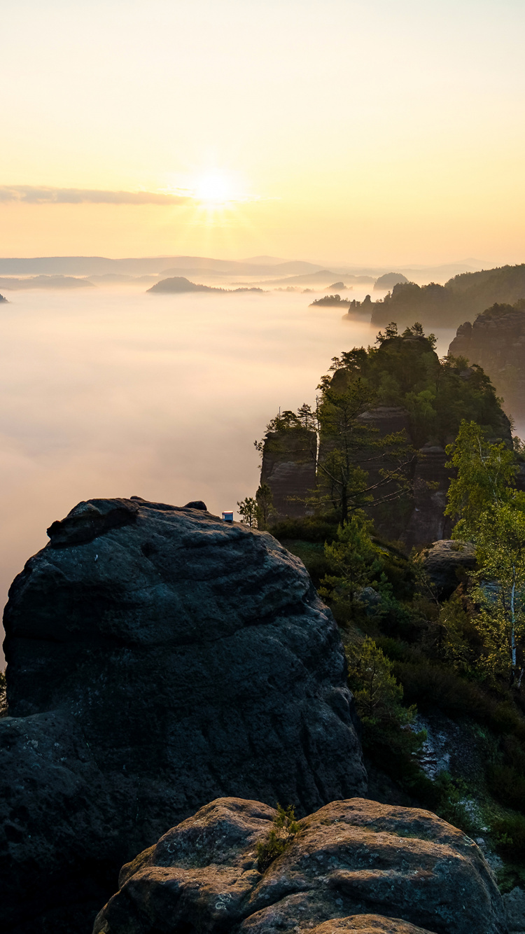 Обои пейзажная живопись, пейзаж, природа, утро, вода в разрешении 750x1334