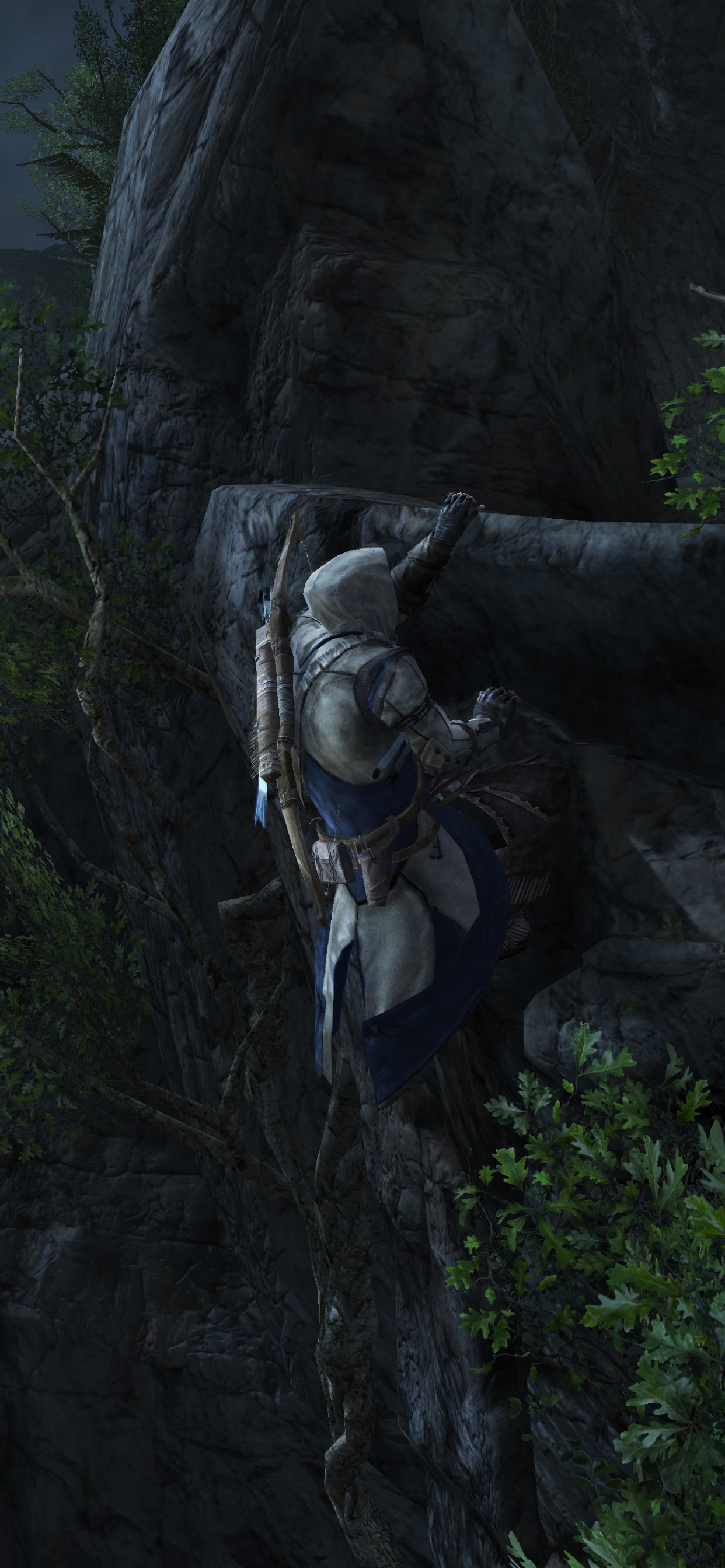 Обои Assassins Creed III, assassins creed revelations, ubisoft, компьютерная игра, темнота в разрешении 1242x2688