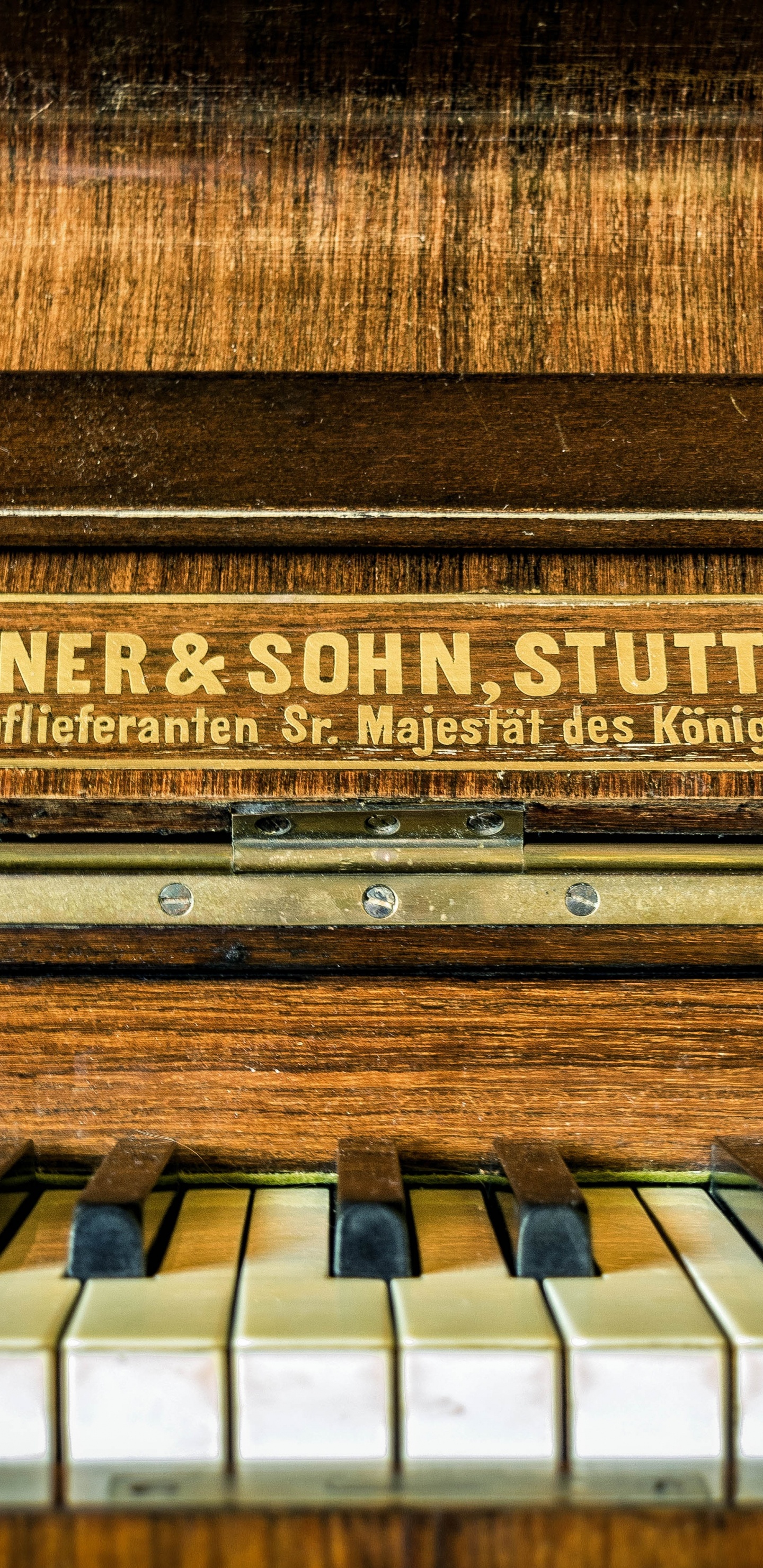 Обои фортепьяно, клавиатура, музыкальный инструмент, синтезатор, челеста в разрешении 1440x2960