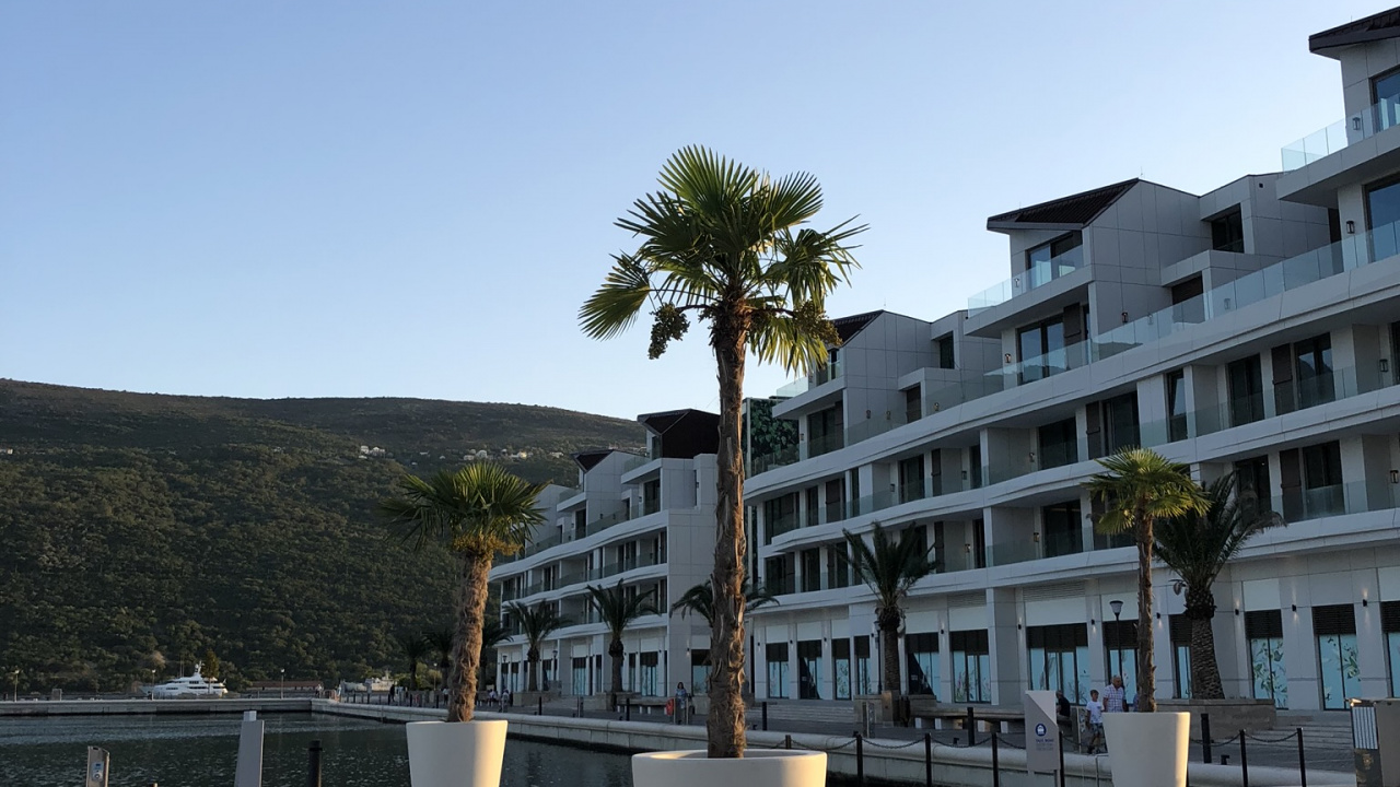 Обои недвижимость, кондоминиум, городской дизайн, жилой район, древесные растения в разрешении 1280x720