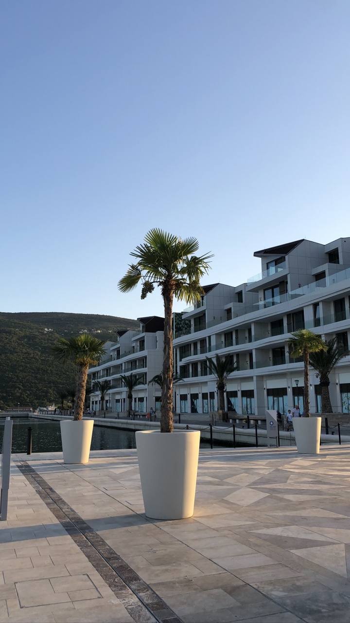 Обои недвижимость, кондоминиум, городской дизайн, жилой район, древесные растения в разрешении 720x1280