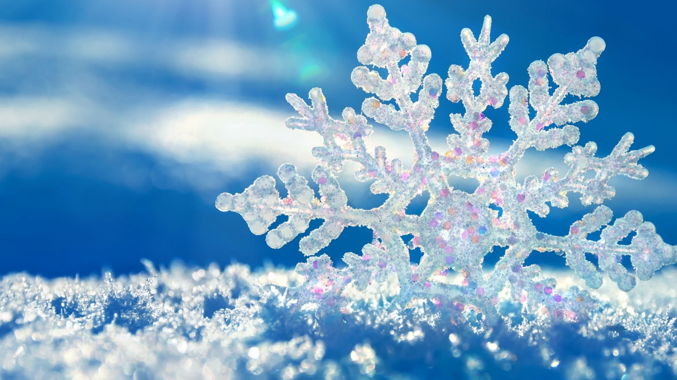 Обои Снежинка, зима, мороз, снег, замораживание в разрешении 1366x768