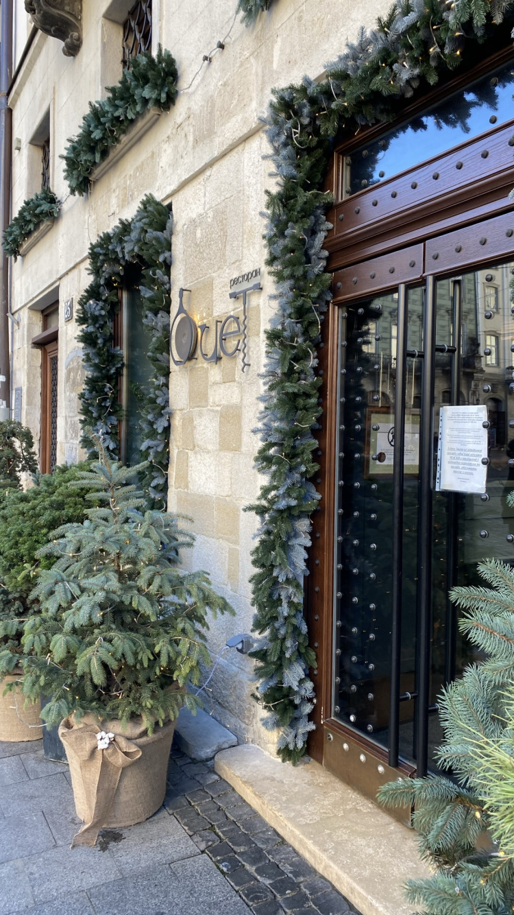 Обои окно, цветочный горшок, дверь, Хаус, комнатное растение в разрешении 750x1334