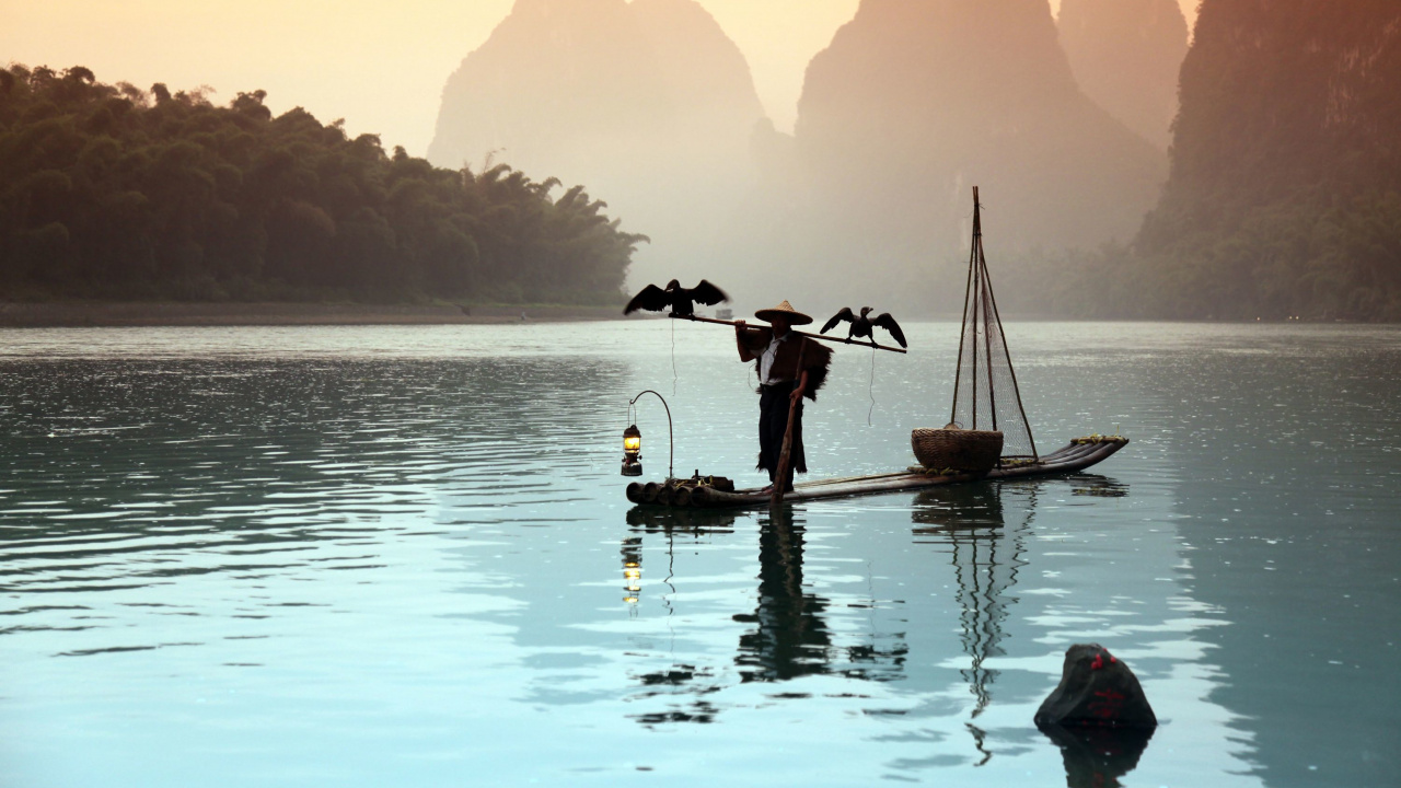 Обои Округ Яншо, Баклан рыбалка, вода, отражение, утро в разрешении 1280x720