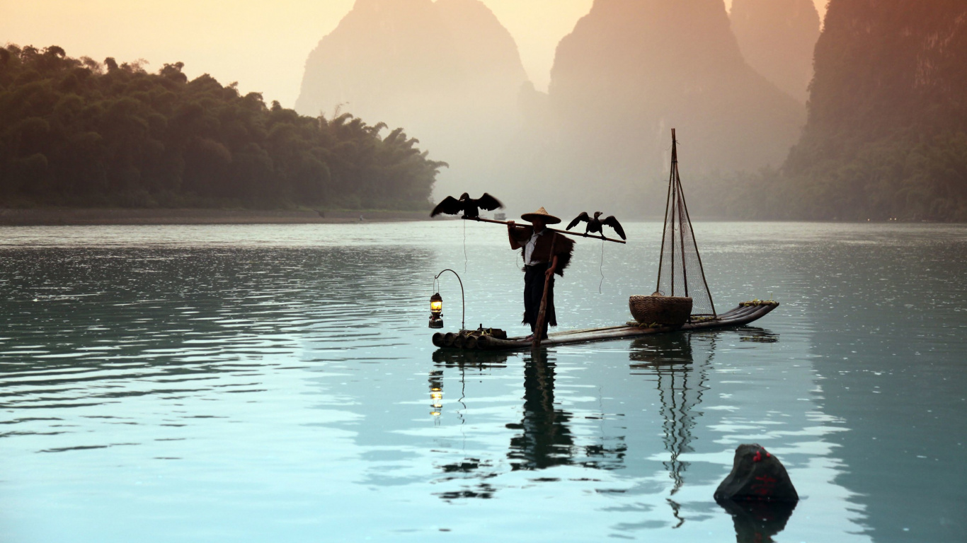 Обои Округ Яншо, Баклан рыбалка, вода, отражение, утро в разрешении 1366x768