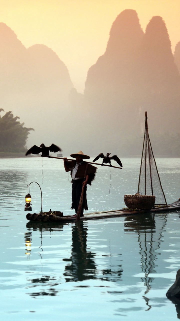 Обои Округ Яншо, Баклан рыбалка, вода, отражение, утро в разрешении 720x1280