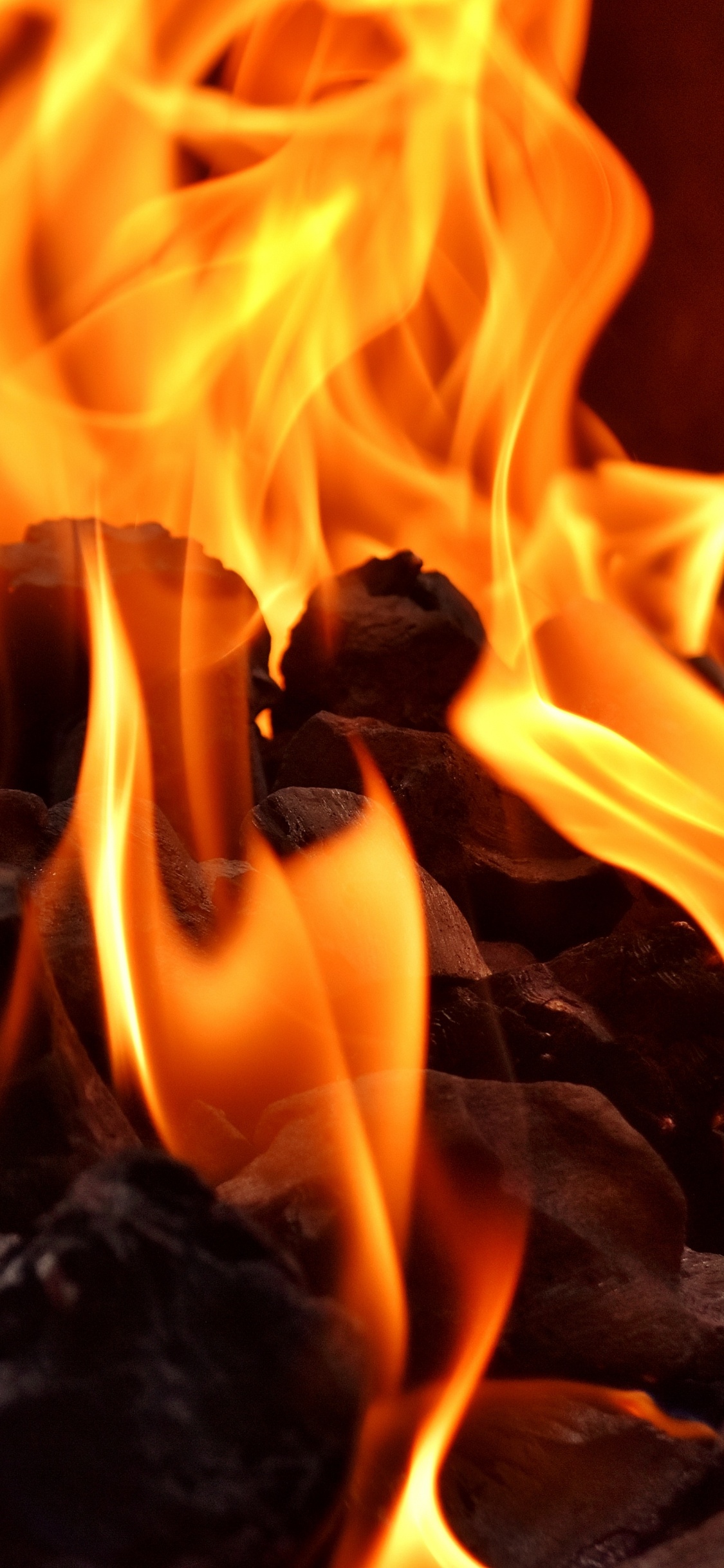 Обои пламя, огонь, древесный уголь, сгорание, тепло в разрешении 1125x2436
