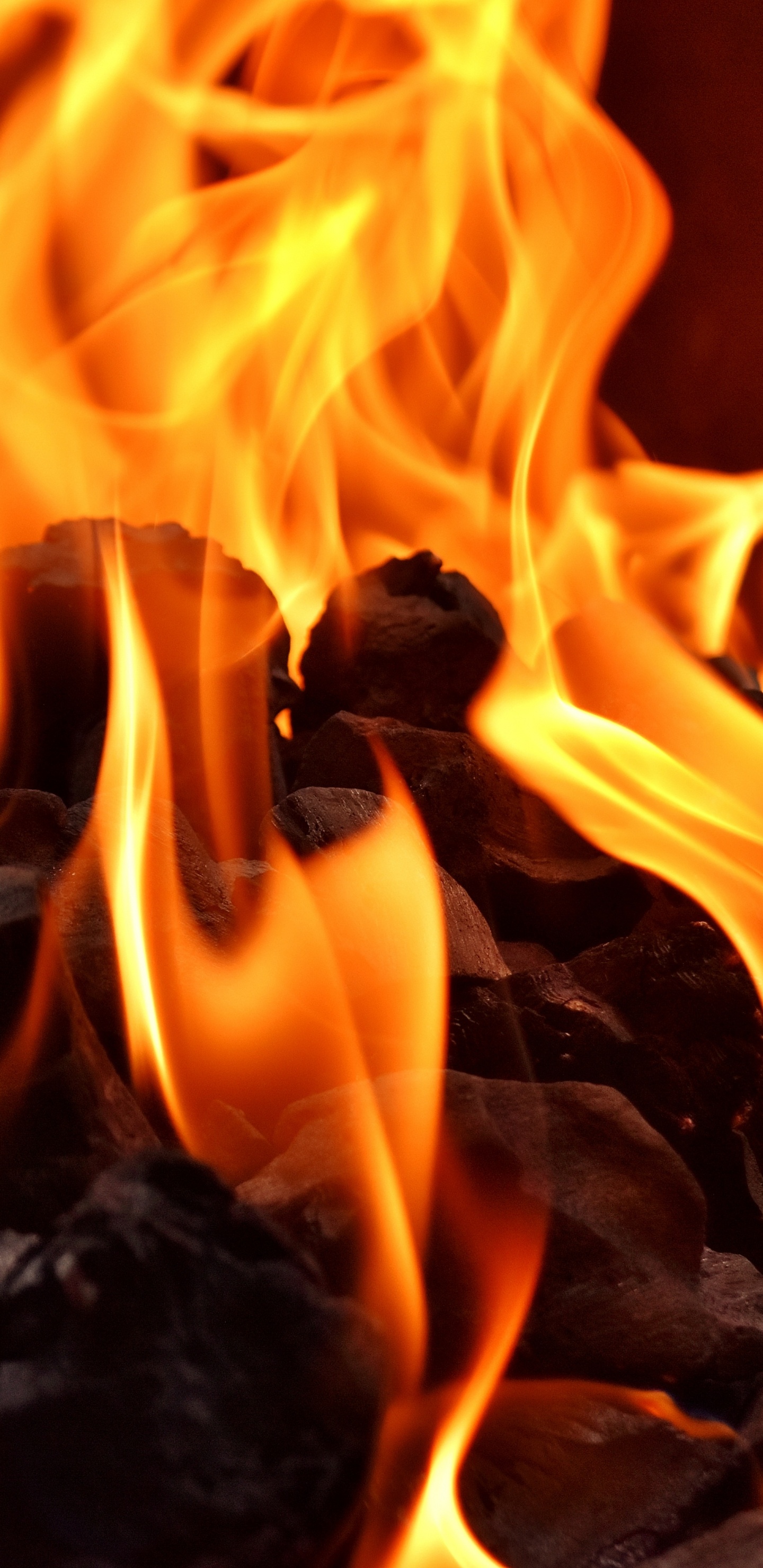 Обои пламя, огонь, древесный уголь, сгорание, тепло в разрешении 1440x2960