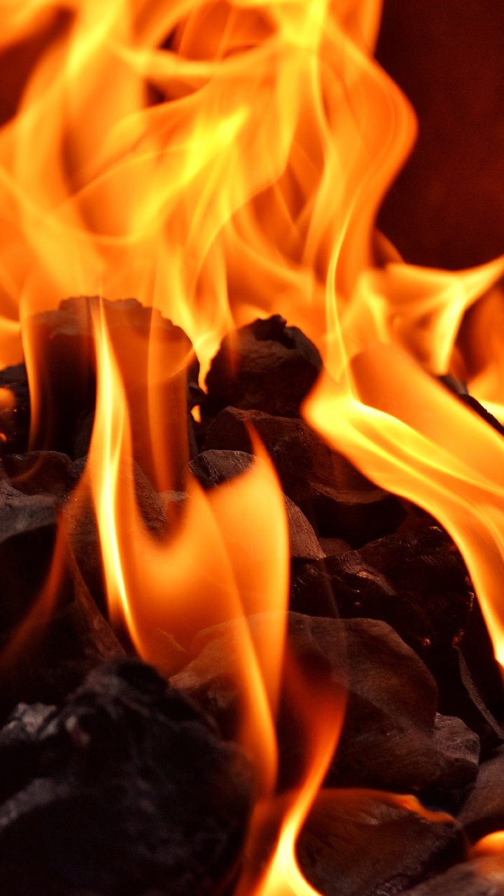 Обои пламя, огонь, древесный уголь, сгорание, тепло в разрешении 720x1280