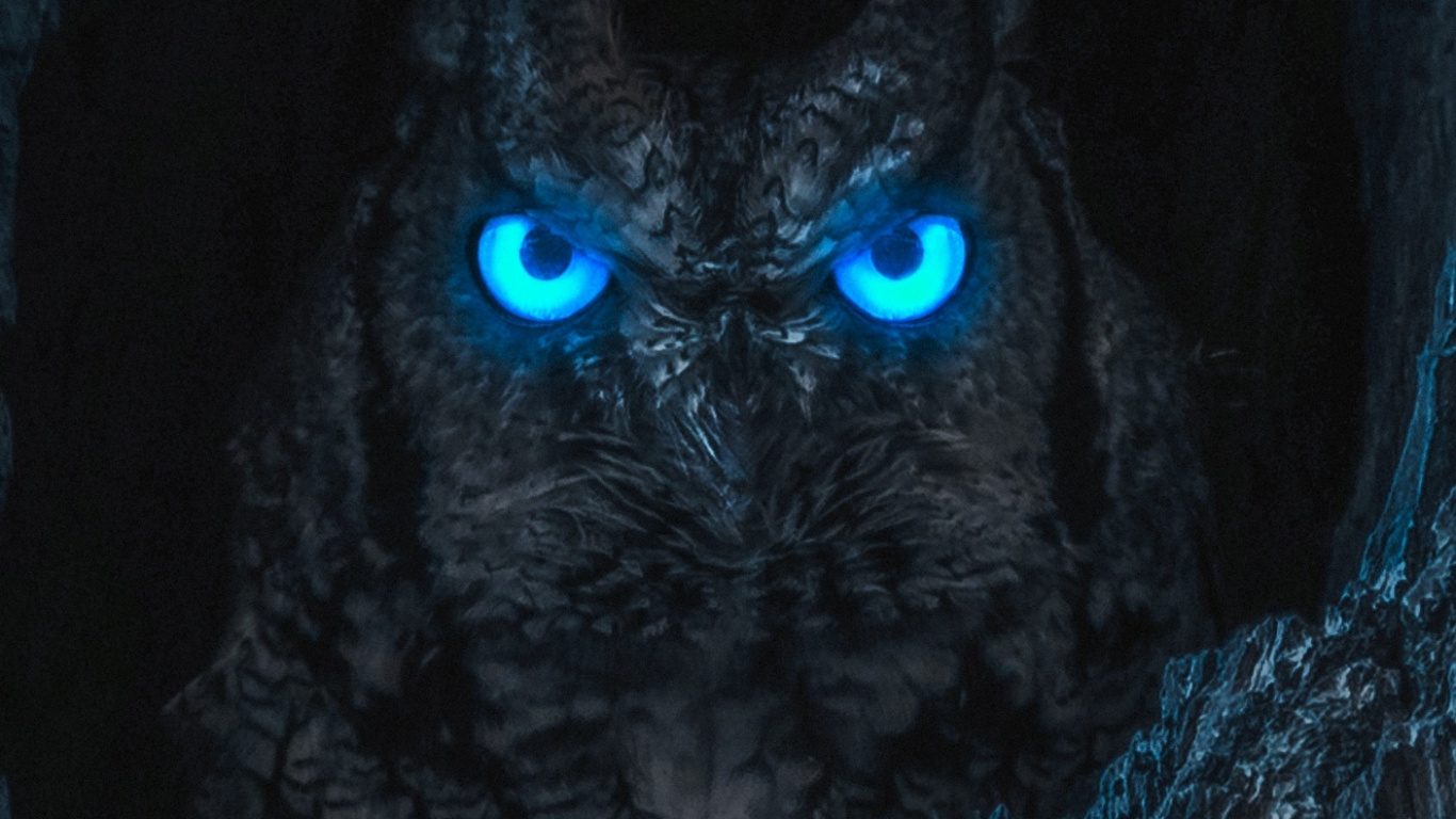 Обои темнота, сова, ирис, электрик, морда в разрешении 1366x768