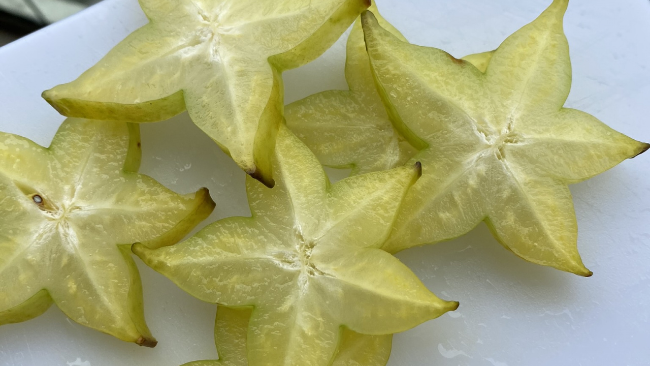 Обои карамболь, карамбола, биология, наука, желтый в разрешении 1280x720