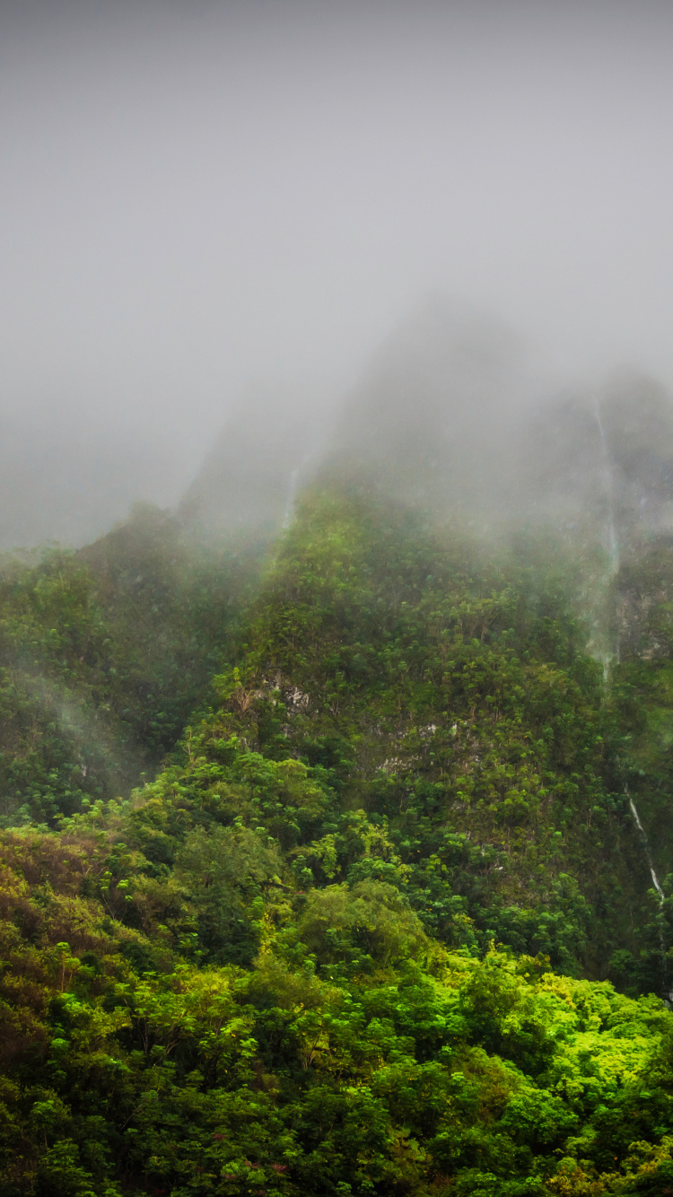 Обои природа, растительность, горная станция, лес, Apple МасВоок Pro в разрешении 750x1334