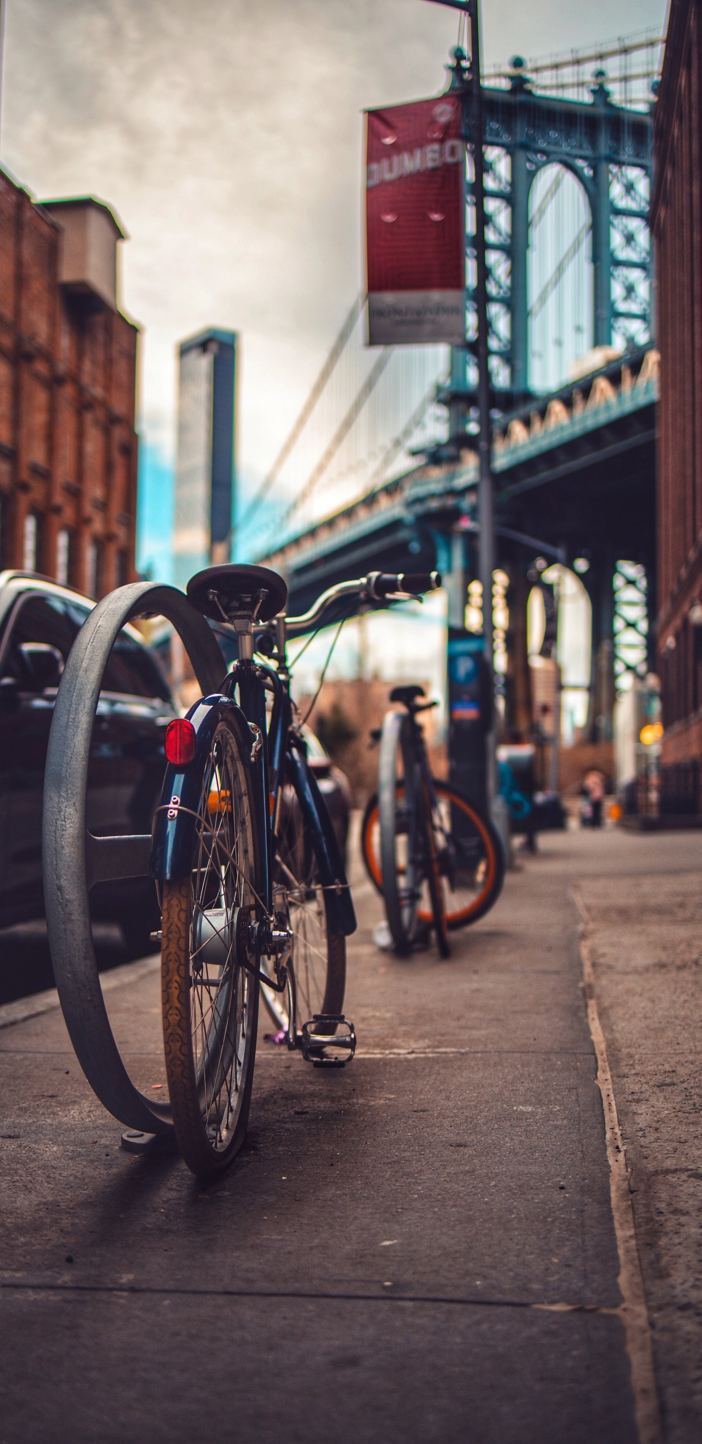 Обои дорожный велосипед, горный велосипед, дорога, легковые автомобили, Велоспорт в разрешении 1440x2960